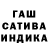Конопля сатива Edvins Purmal