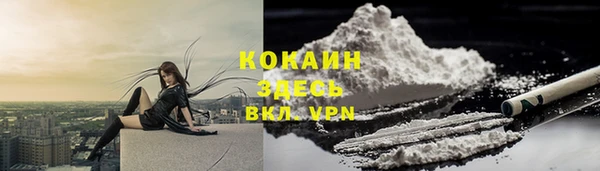 ешки Бородино