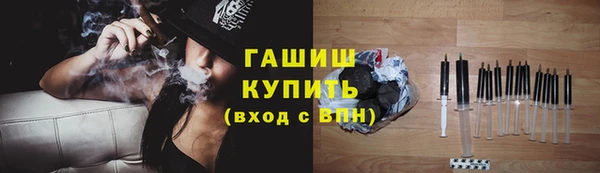 ешки Бородино