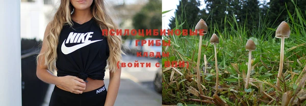 ешки Бородино