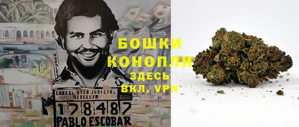 метадон Богданович